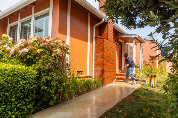Best Roof Pressure Washing  in Walce, LA